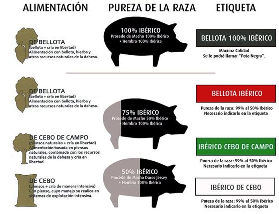 Texto sobre la elección del jamón