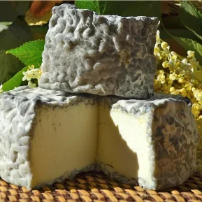 Queso de cabra madurado - Carbonero