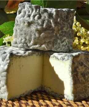 Queso de cabra madurado - Carbonero