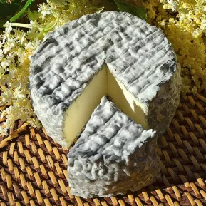 Queso de cabra madurado - Carbonero