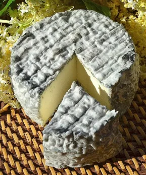 Queso de cabra madurado - Carbonero