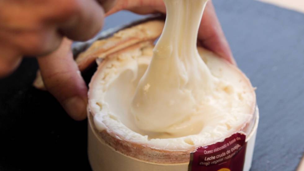 Torta del Casar: modos de preparación para degustar este queso