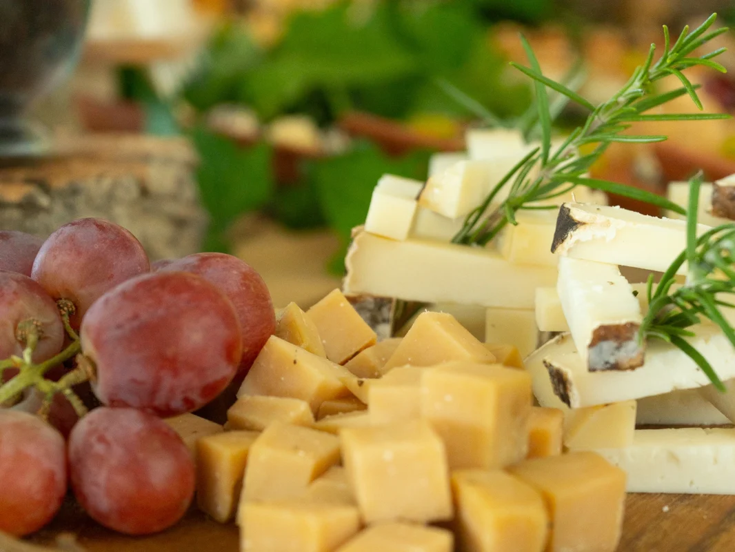 Quesos de cabra extremeños